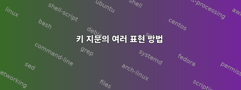 키 지문의 여러 표현 방법