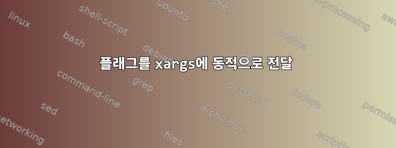 플래그를 xargs에 동적으로 전달