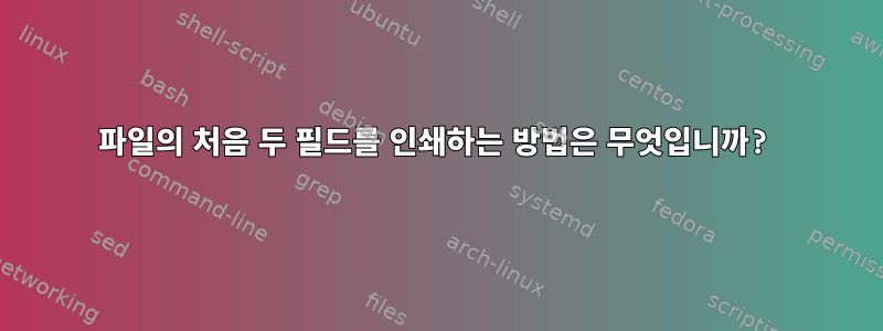 파일의 처음 두 필드를 인쇄하는 방법은 무엇입니까?