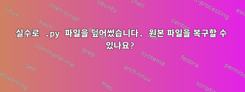 실수로 .py 파일을 덮어썼습니다. 원본 파일을 복구할 수 있나요?