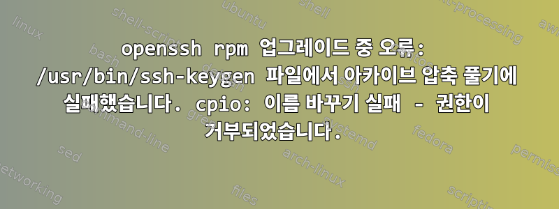 openssh rpm 업그레이드 중 오류: /usr/bin/ssh-keygen 파일에서 아카이브 압축 풀기에 실패했습니다. cpio: 이름 바꾸기 실패 - 권한이 거부되었습니다.