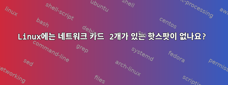 Linux에는 네트워크 카드 2개가 있는 핫스팟이 없나요?