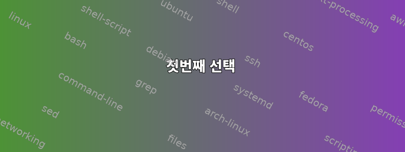 첫번째 선택