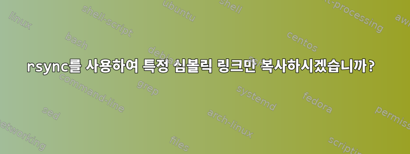 rsync를 사용하여 특정 심볼릭 링크만 복사하시겠습니까?