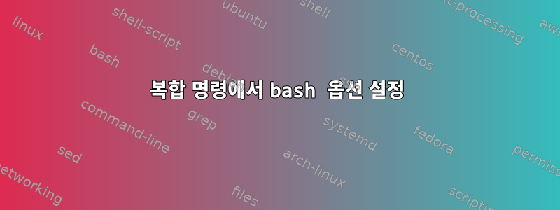 복합 명령에서 bash 옵션 설정