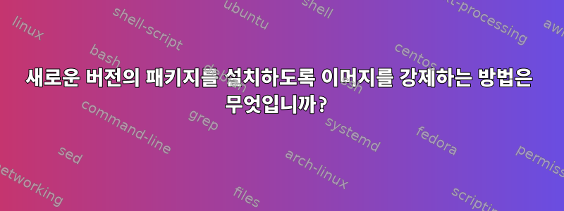 새로운 버전의 패키지를 설치하도록 이머지를 강제하는 방법은 무엇입니까?