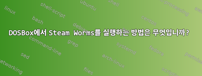 DOSBox에서 Steam Worms를 실행하는 방법은 무엇입니까?