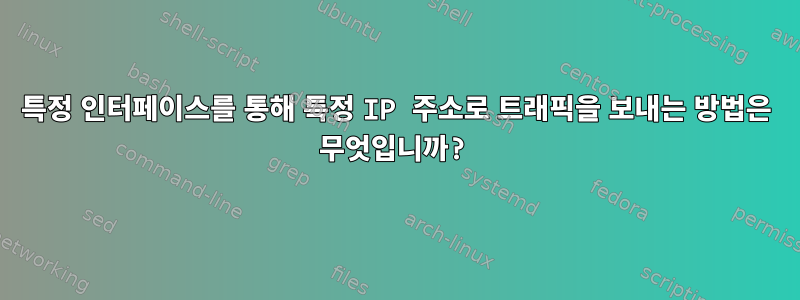 특정 인터페이스를 통해 특정 IP 주소로 트래픽을 보내는 방법은 무엇입니까?