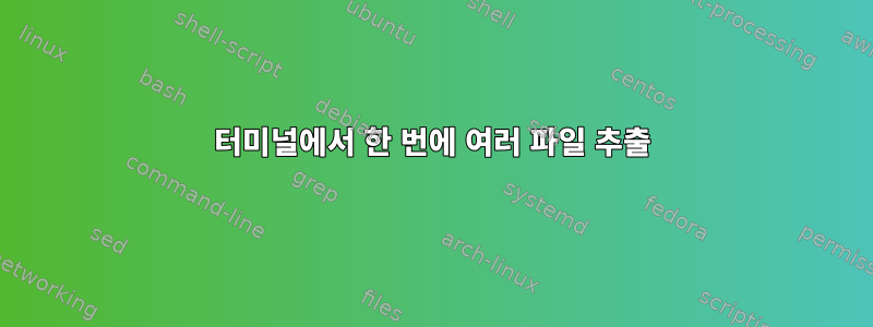 터미널에서 한 번에 여러 파일 추출