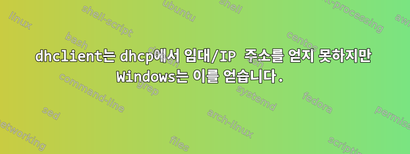 dhclient는 dhcp에서 임대/IP 주소를 얻지 못하지만 Windows는 이를 얻습니다.