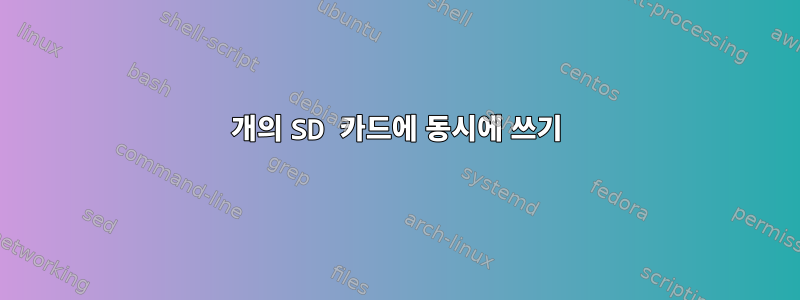 2개의 SD 카드에 동시에 쓰기