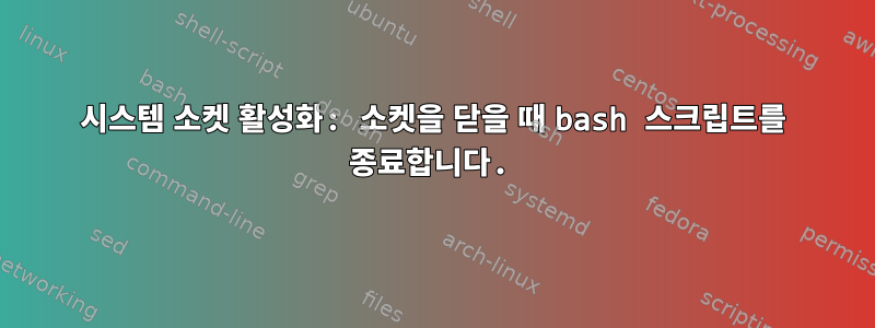 시스템 소켓 활성화: 소켓을 닫을 때 bash 스크립트를 종료합니다.