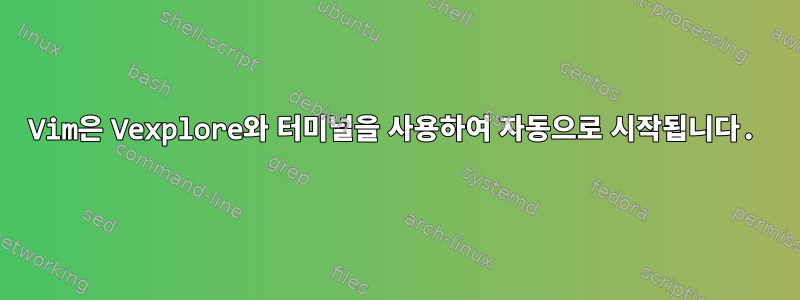 Vim은 Vexplore와 터미널을 사용하여 자동으로 시작됩니다.