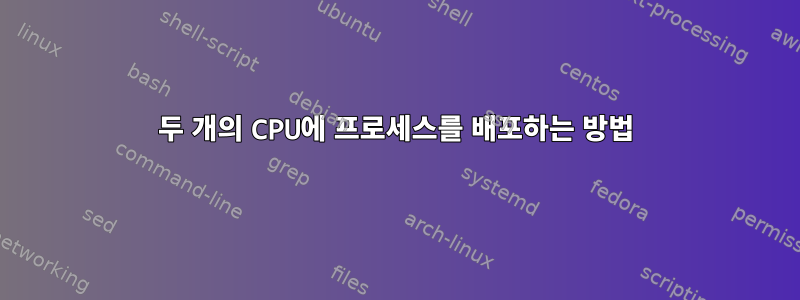 두 개의 CPU에 프로세스를 배포하는 방법