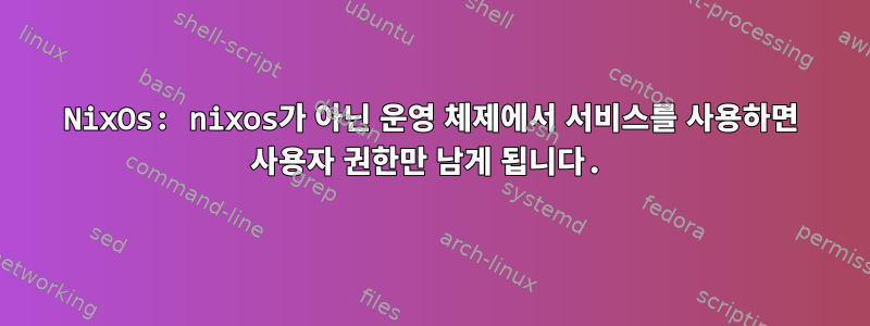 NixOs: nixos가 아닌 운영 체제에서 서비스를 사용하면 사용자 권한만 남게 됩니다.