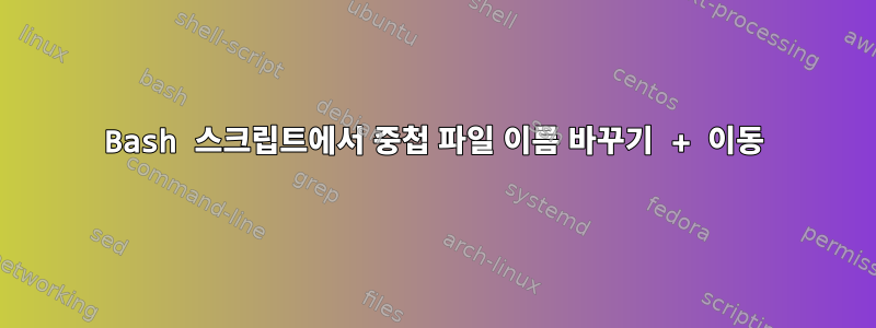 Bash 스크립트에서 중첩 파일 이름 바꾸기 + 이동