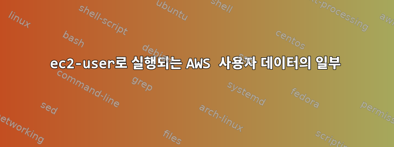 ec2-user로 실행되는 AWS 사용자 데이터의 일부