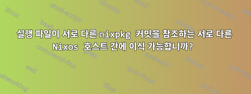 실행 파일이 서로 다른 nixpkg 커밋을 참조하는 서로 다른 Nixos 호스트 간에 이식 가능합니까?