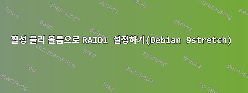 활성 물리 볼륨으로 RAID1 설정하기(Debian 9stretch)