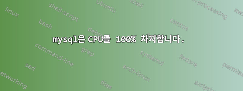 mysql은 CPU를 100% 차지합니다.