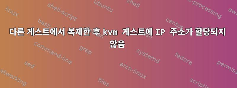 다른 게스트에서 복제한 후 kvm 게스트에 IP 주소가 할당되지 않음