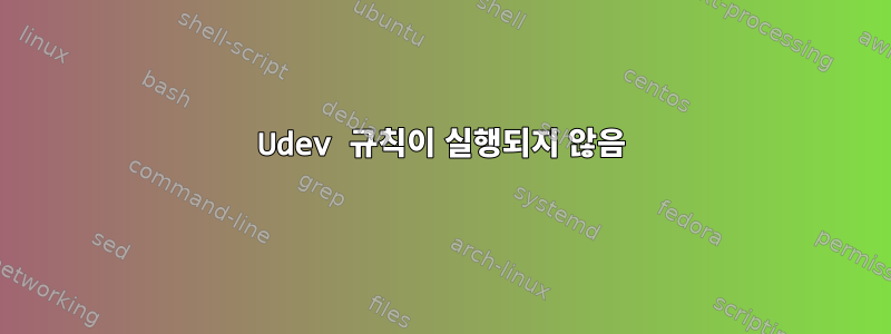 Udev 규칙이 실행되지 않음