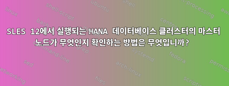 SLES 12에서 실행되는 HANA 데이터베이스 클러스터의 마스터 노드가 무엇인지 확인하는 방법은 무엇입니까?