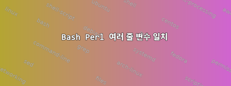 Bash Perl 여러 줄 변수 일치