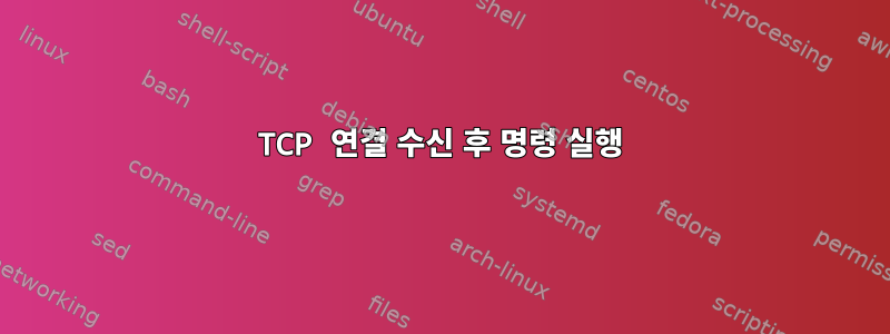 TCP 연결 수신 후 명령 실행