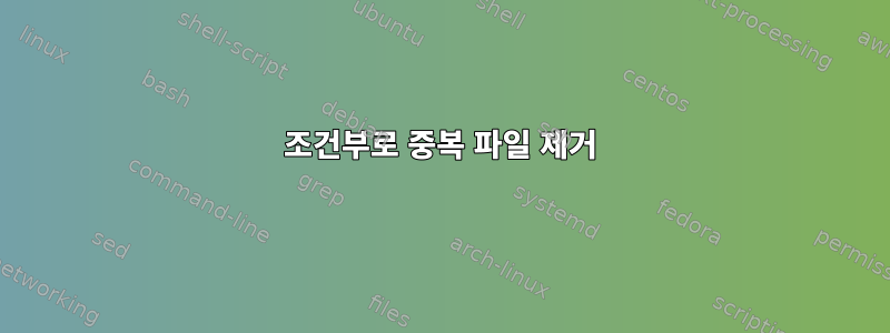 조건부로 중복 파일 제거