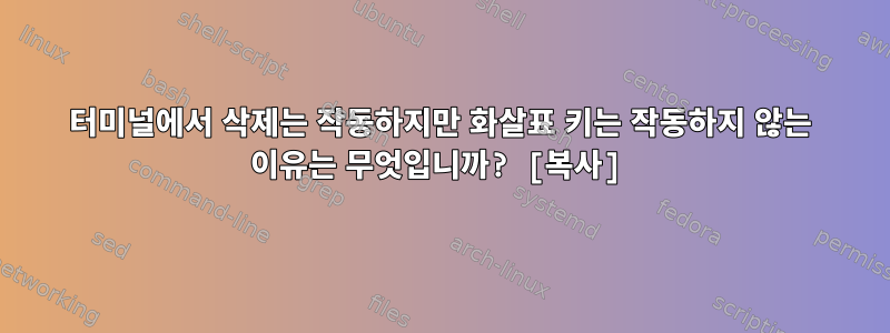 터미널에서 삭제는 작동하지만 화살표 키는 작동하지 않는 이유는 무엇입니까? [복사]