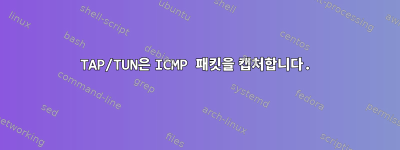 TAP/TUN은 ICMP 패킷을 캡처합니다.