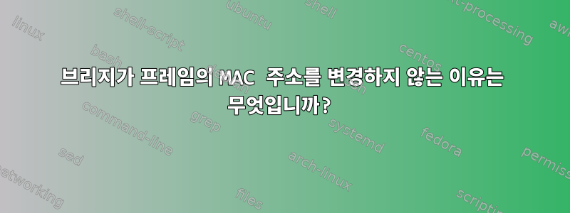 브리지가 프레임의 MAC 주소를 변경하지 않는 이유는 무엇입니까?