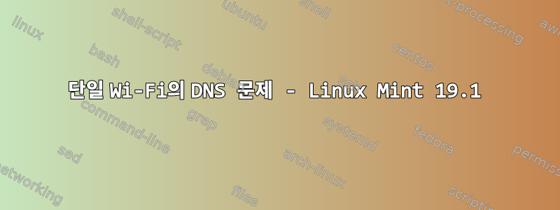 단일 Wi-Fi의 DNS 문제 - Linux Mint 19.1