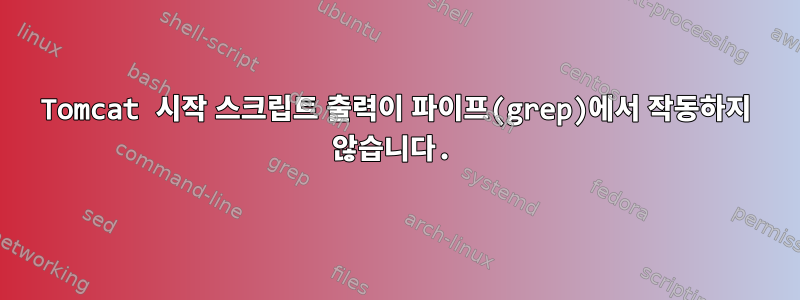 Tomcat 시작 스크립트 출력이 파이프(grep)에서 작동하지 않습니다.