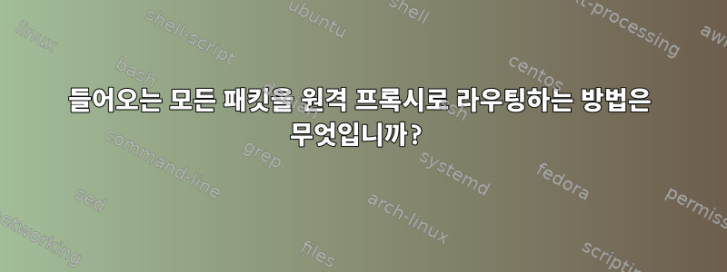 들어오는 모든 패킷을 원격 프록시로 라우팅하는 방법은 무엇입니까?