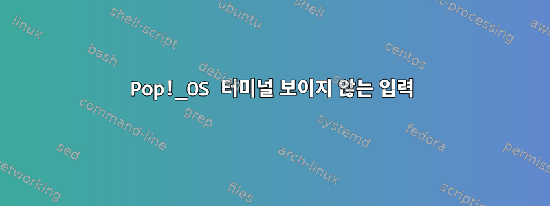 Pop!_OS 터미널 보이지 않는 입력