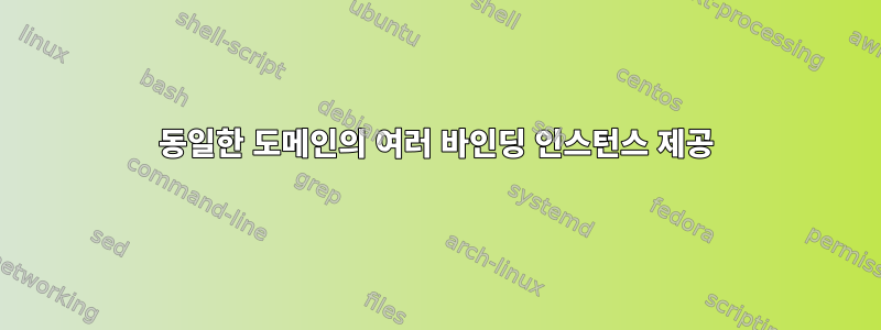 동일한 도메인의 여러 바인딩 인스턴스 제공