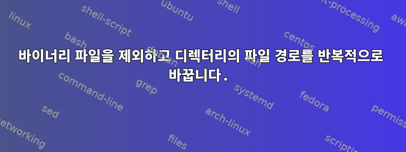 바이너리 파일을 제외하고 디렉터리의 파일 경로를 반복적으로 바꿉니다.