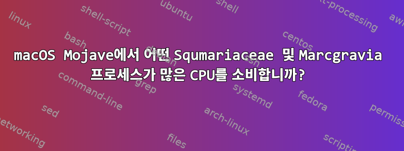 macOS Mojave에서 어떤 Squmariaceae 및 Marcgravia 프로세스가 많은 CPU를 소비합니까?