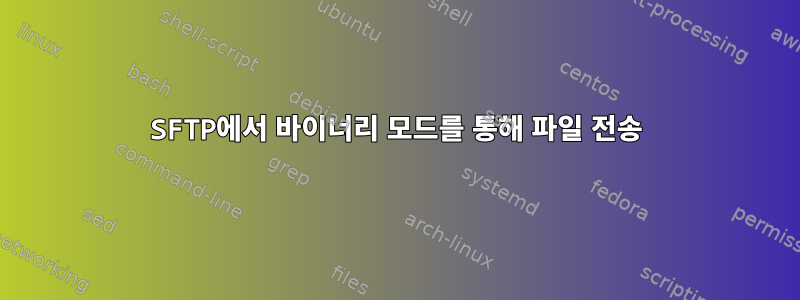 SFTP에서 바이너리 모드를 통해 파일 전송