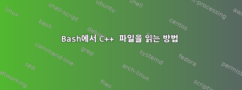 Bash에서 C++ 파일을 읽는 방법