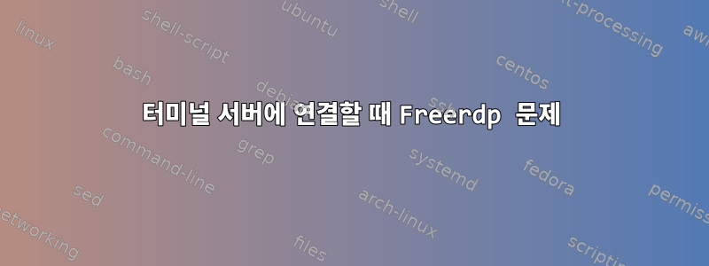 터미널 서버에 연결할 때 Freerdp 문제