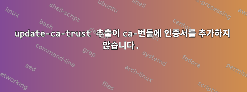 update-ca-trust 추출이 ca-번들에 인증서를 추가하지 않습니다.