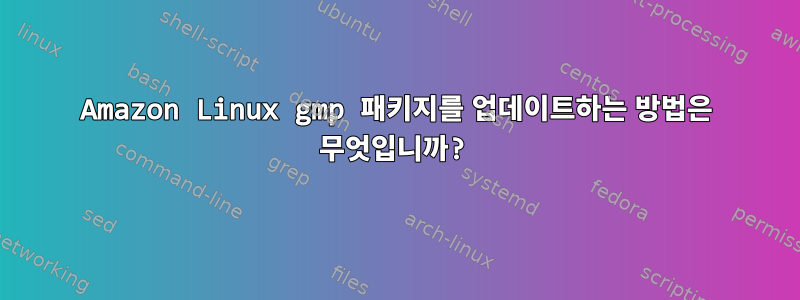 Amazon Linux gmp 패키지를 업데이트하는 방법은 무엇입니까?