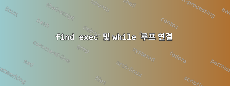 find exec 및 while 루프 연결