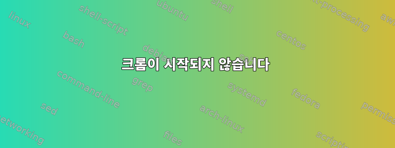 크롬이 시작되지 않습니다