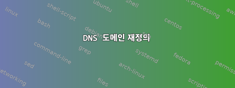 DNS 도메인 재정의