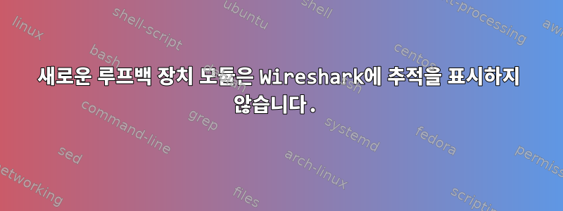 새로운 루프백 장치 모듈은 Wireshark에 추적을 표시하지 않습니다.