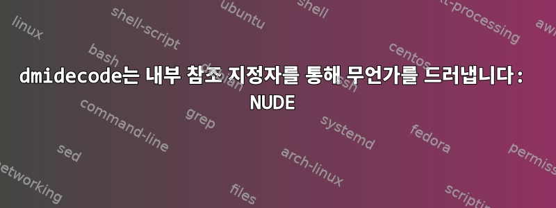 dmidecode는 내부 참조 지정자를 통해 무언가를 드러냅니다: NUDE